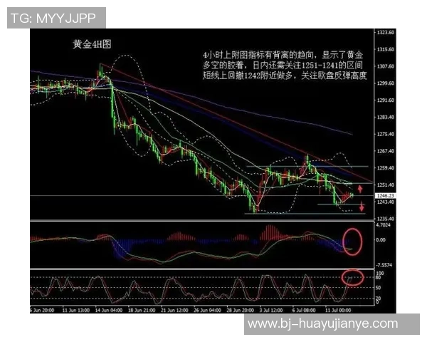 独家解析上海排球队技术特点与其他球队的全面对比分析 独家解析上海排球队技术特点与其他球队的全面对比分析