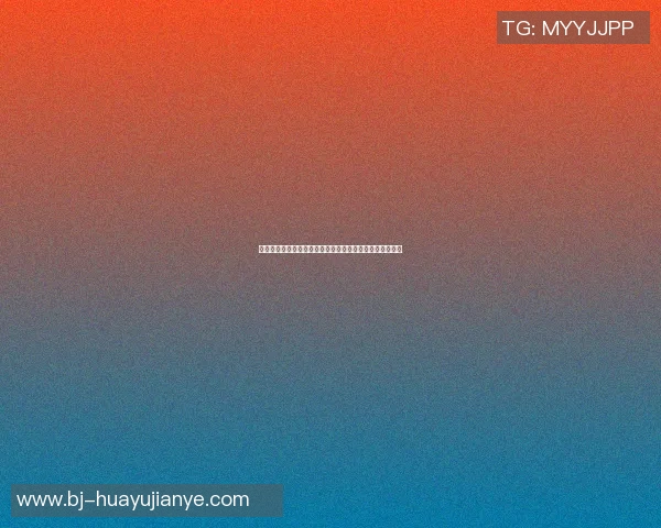 深圳羽毛球队的节奏与激情:聚焦羽毛球运动的魅力与发展